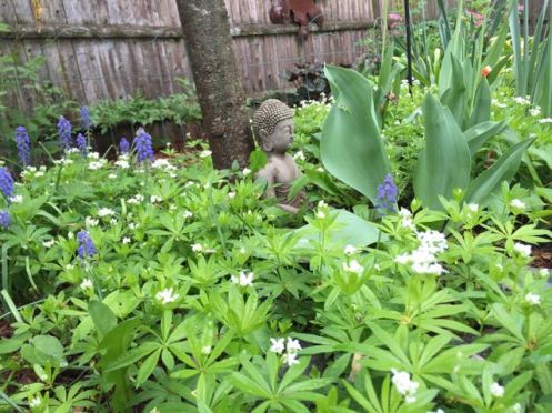 breathing in the beauty of my garden